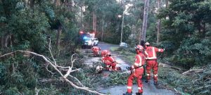 Emerald SES a big part in wind damage recovery