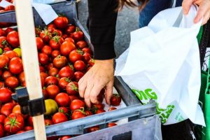 Monbulk produce market this August