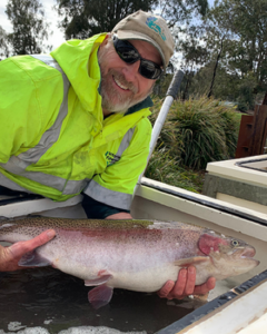 Rainbow trout introduced to lakes in Dandenong Ranges