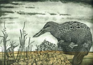 Boronia-based artist nominated for national art prize