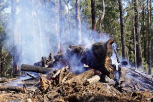 Walking tracks closed for debris burning