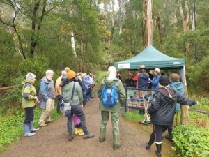 Hills environment faces threats
