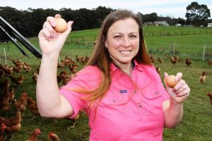 Springfern Farm scaling down
