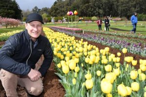 Tesselaar Tulip Festival returns after three years