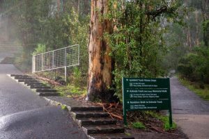 Public able to enjoy 1000 steps once again