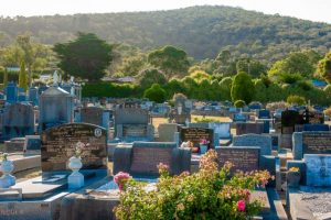 Discover mysteries and cold cases in the Ferntree Gully Cemetery