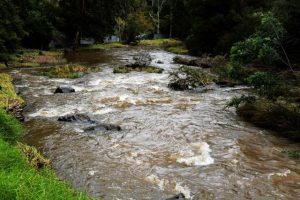 Melbourne water stocks reach 25-year high
