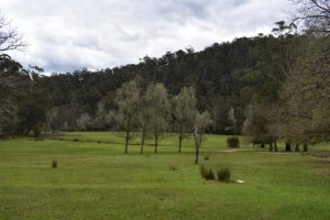 A reminder to plan ahead for trips during the Melbourne Cup long weekend