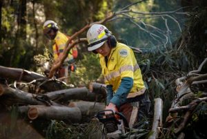 Yarra Ranges Council calling for another $19 million for storm recovery