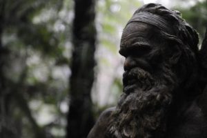 Iconic spots in the Dandenong Ranges still closed after 2021 storm event
