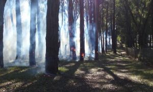 Kalorama residents may see or smell smoke during this week’s planned burns