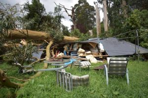 Kallista home now uninhabitable after being crushed by a large tree