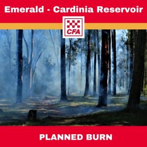 CFA plans Emerald burn for Friday