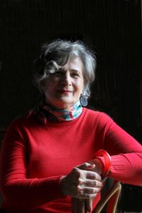 Author from The Patch takes readers to Venice in new book