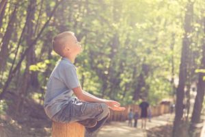 Australians encouraged to follow vitamin D level guidelines as research finds link between low levels of vitamin D and premature death