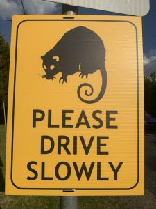 Motorists asked to help wildlife by slowing down on the roads this holiday period