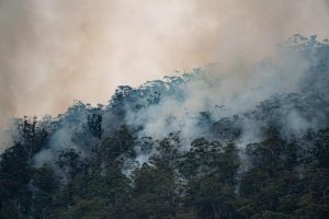 Fire Danger Period set to begin in Cardinia Shire region