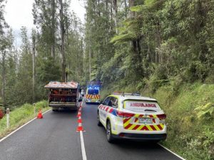 Monbulk CFA assists in Fernshaw after car drove off embankment