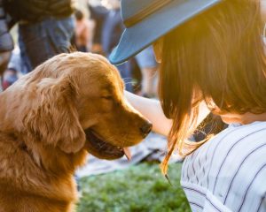 Preparing your pets for warmer weather