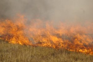Preparing for grassfires this summer