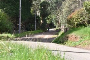 Hopes “dashed” after road project funding cut confirmed