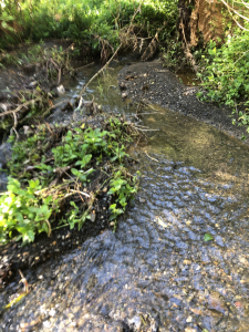 Kallista community looks to apply for Melbourne Water grant