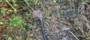 Calls for safer infrastructure after NBN outage in Emerald