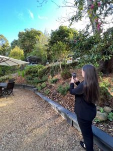 Renters flock to the Hills, tenants grab properties off market