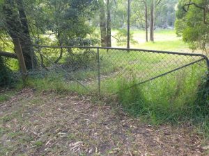 Birdsland to Upwey pathway petition supported by councillors