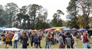Annual Kalorama Chestnut Festival returns in May