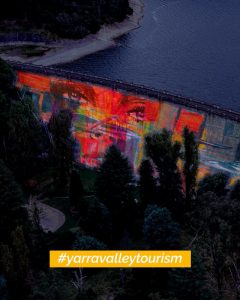 Proposed light installations hoped to boost tourism across the Yarra Ranges