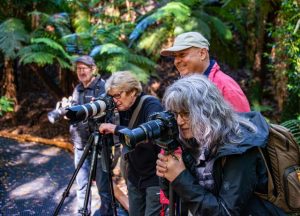 ‘Expressions’ photo exhibition returns after four-year hiatus