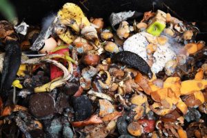 Knox residents can now add foodscraps to green bins