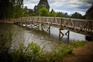 Rainbow trout stocked in Emerald Lake for school holidays
