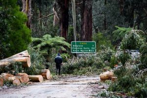 ‘Rainbow after the Storm’ emergency planning event held two years after June 2021 storm