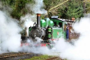 Puffing Billy enthusiast molested young boys