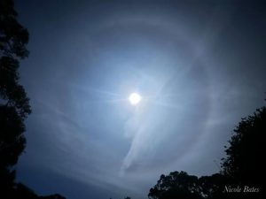 ‘Lunar halo’ phenomenon spotted in The Basin
