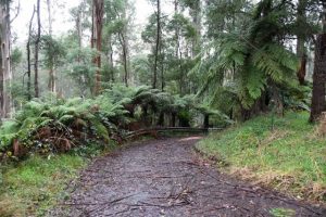 Parks remain closed