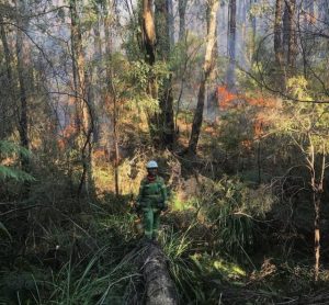 Full-time firefighter roles available in Olinda, Knoxfield and Powelltown
