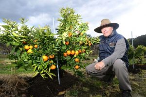 Local agriculture sector gets shake up
