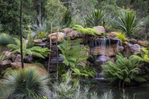 Internationally acclaimed garden opens in Olinda