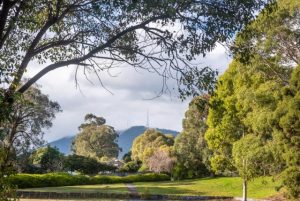 Secret development plans leave Boronia residents furious