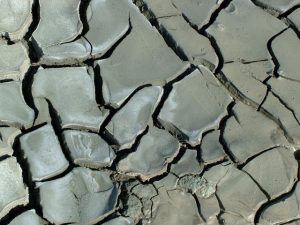 Hot and dry weather expected as El Niño declared