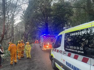 Man hospitalised after being trapped by a fallen tree in Olinda