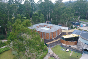 Birds given a second chance at Healesville Sanctuary