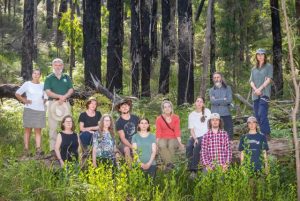 ‘Dangerous precedent:’ Conservation groups warn council against using national park debris for biochar facility