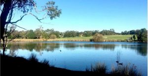 Locals stand their ground against proposed development at ‘Lake Knox’