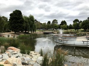 Arboretum welcomes Wonders once again