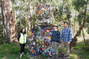 Garden project growing in Belgrave