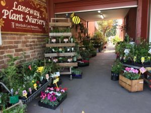 Monbulk nursery celebrates 70 years